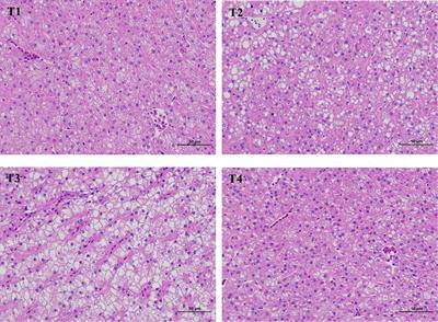 Condensed Tannins Improve Glycolipid Metabolism but Induce Liver Injury of Chinese Seabass (Lateolabrax maculatus)